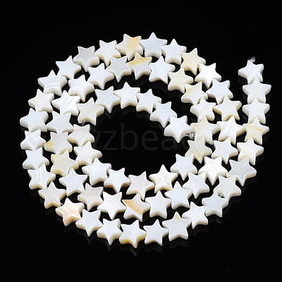 Natural Freshwater Shell Beads Strands SHEL-S278-01A-01-1