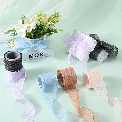 Polyester Pleated Ribbons SRIB-WH20020-005C-1