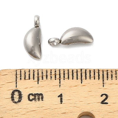 304 Stainless Steel Charms STAS-M017-14B-P-1-1