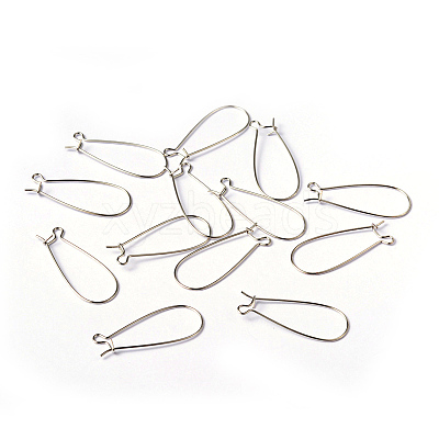 Brass Hoop Earring Wires Hook Earring Making Findings X-EC221-1