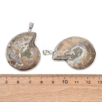 Snail Fossil Pendants G-D051-1A-1