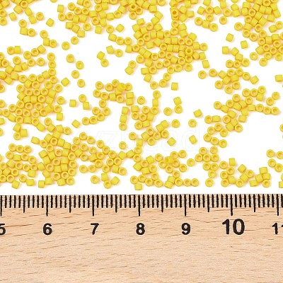 MIYUKI Delica Beads SEED-X0054-DB2284-1