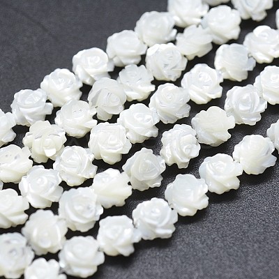 Natural White Shell Beads Strands SSHEL-P015-01A-8mm-1