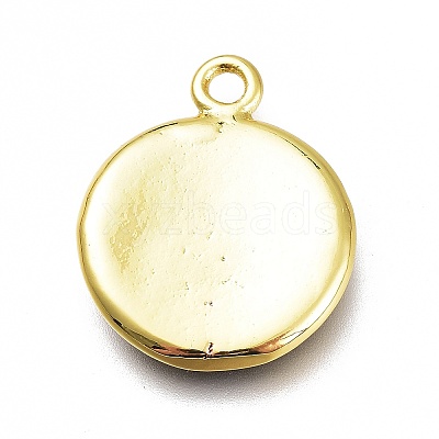 Brass Enamel Pendants KK-H103-02F-G-1