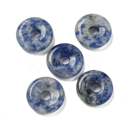 Natural Blue Spot Jasper Donut/Pi Disc Charms G-G142-01H-1