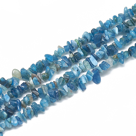 Natural Apatite Beads Strands X-G-S315-24-1