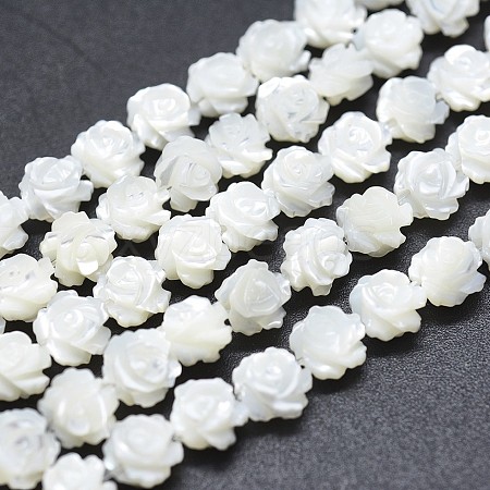 Natural White Shell Beads Strands SSHEL-P015-01A-8mm-1