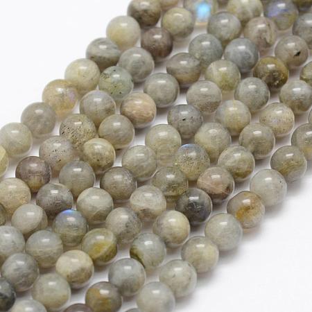 Natural Labradorite Beads Strands G-P322-33-4mm-1