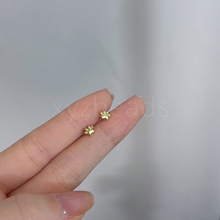 Alloy Earrings for Women FS-WG98937-112-1