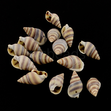 Spiral Shell Charm Pendants SSHEL-R036-20-1