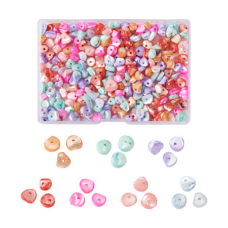 280Pcs 7 Colors Natural Freshwater Shell Beads SHEL-FW0001-02-1