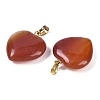 Dyed & Heated Natural Carnelian Pendants G-G956-B52-G-2