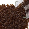 TOHO Round Seed Beads SEED-XTR11-0941F-1