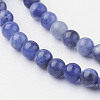 Natural Sodalite Bead Strands G-G735-58-4mm-A-3