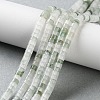 Natural Tianshan Cui Quartzite Beads Strands G-H230-65-2