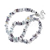 Natural Colorful Fluorite Chip Beaded Necklaces for Men Women NJEW-G159-01P-4