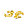 Rack Plating Alloy Charms FIND-G045-04MG-2