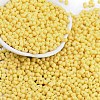 Baking Paint Glass Seed Beads X1-SEED-K010-A26-1