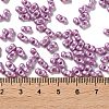 Glass Seed Beads SEED-L011-04A-03-4