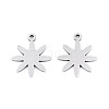 304 Stainless Steel Charms STAS-P433-03P-1