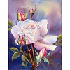 Flower DIY Diamond Painting Kit PW-WG23253-07-1