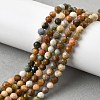 Natural Agate Beads Strands X-G-G991-A03-A-01A-8