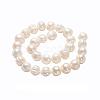Natural Cultured Freshwater Pearl Beads Strands PEAR-L001-A-07-01-4