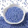 Baking Paint Glass Seed Beads SEED-S042-15A-12-2