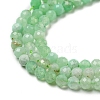 Natural Chrysoprase Beads Strands G-A097-A16-03-4