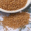 MIYUKI Delica Beads X-SEED-J020-DB1778-1