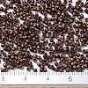 MIYUKI Delica Beads SEED-MY11-DB1051-4