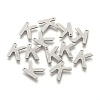 Tarnish Resistant 304 Stainless Steel Charms STAS-F175-02P-K-2