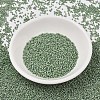 MIYUKI Delica Beads SEED-MY11-DB2310-2