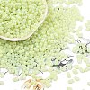 Baking Paint Glass Seed Beads SEED-L011-09A-21-1