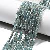 Natural Apatite Beads Strands G-G161-A11-03-5