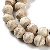 Natural Rainbow Alashan Agate Beads Strands G-NH0022-A10-02-4