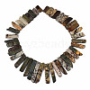 Natural Picasso Stone/Picasso Jasper Beads Strands G-S355-19-01-2