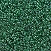 MIYUKI Round Rocailles Beads SEED-X0054-RR0173-2