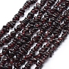 Natural Garnet Beads Strands G-P332-77-1