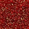 Spray Painted Glass Seed Beads SEED-F005-06A-02-3