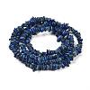 Natural Lapis Lazuli Stone Bead Strands X-G-R192-13-5