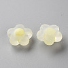 Transparent Acrylic Beads TACR-S152-09C-07-2