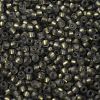 TOHO Round Seed Beads SEED-JPTR11-0271FM-2