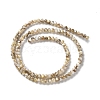 Natural Freshwater Shell Beads Strands SSHEL-B002-18-2