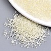 (Repacking Service Available) 8/0 Glass Seed Beads SEED-C025-3mm-134-1