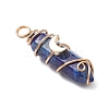 2Pcs 2 Styles Natural Lapis Lazuli Double Terminated Pointed Pendants PALLOY-JF03122-04-4