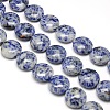 Natural Flat Round Blue Spot Jasper Beads Strands G-L246-01-1