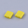 FGB 2-Hole Glass Seed Beads X-SEED-S031-L-042-2