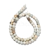 Natural Flower Amazonite/Map Stone/Sesame Jasper/Glass Beads Strands G-P562-C-01-3