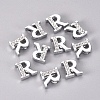 Alloy Slide Charms PALLOY-WH0066-21R-2